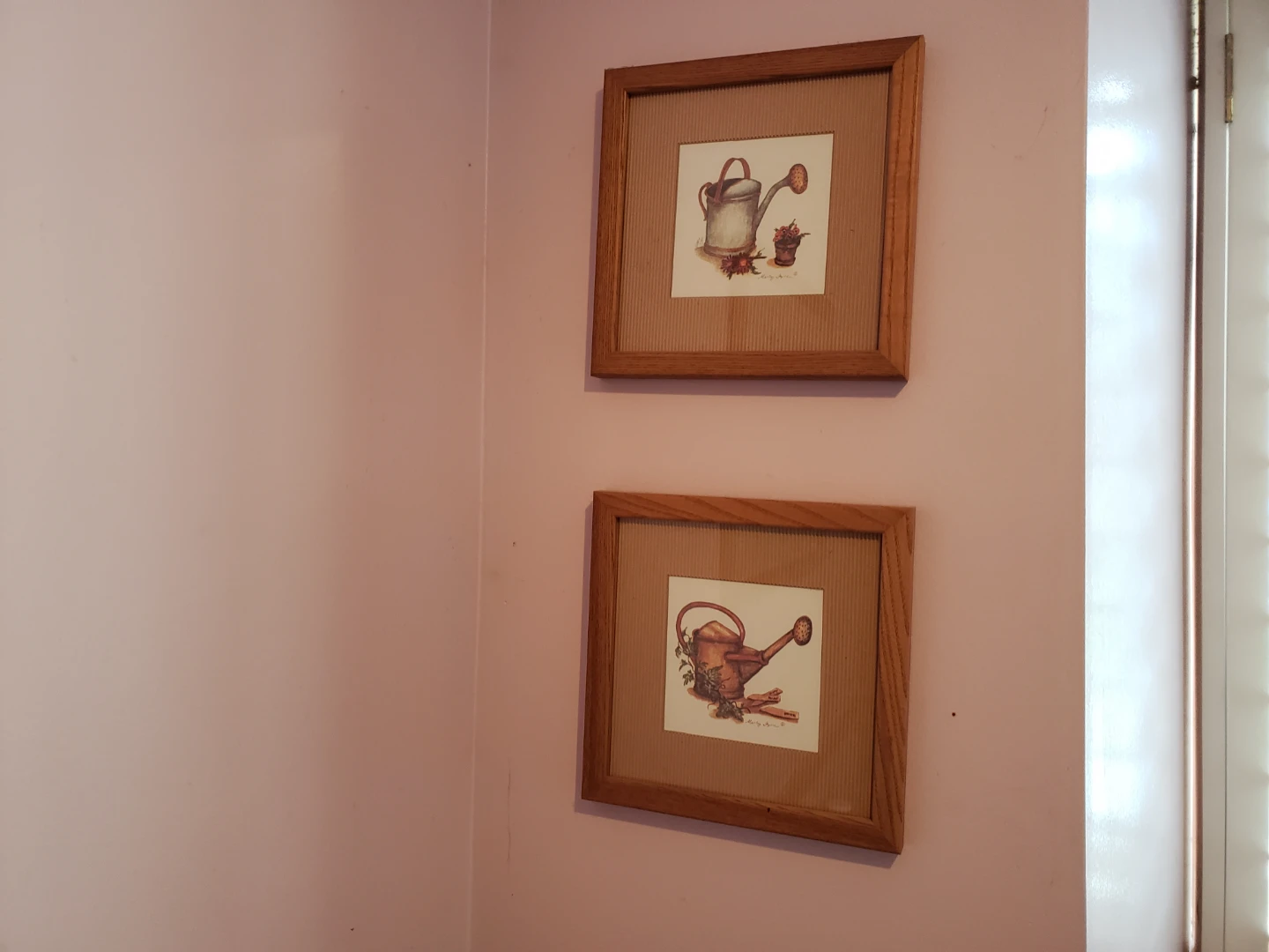 Framed Botanical Print Set