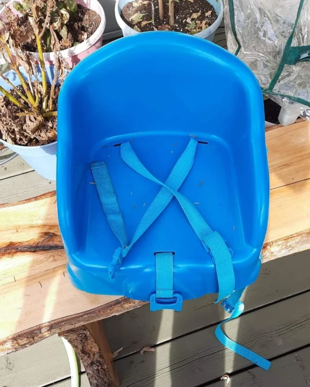 Blue Toddler High Chair Seat with Straps