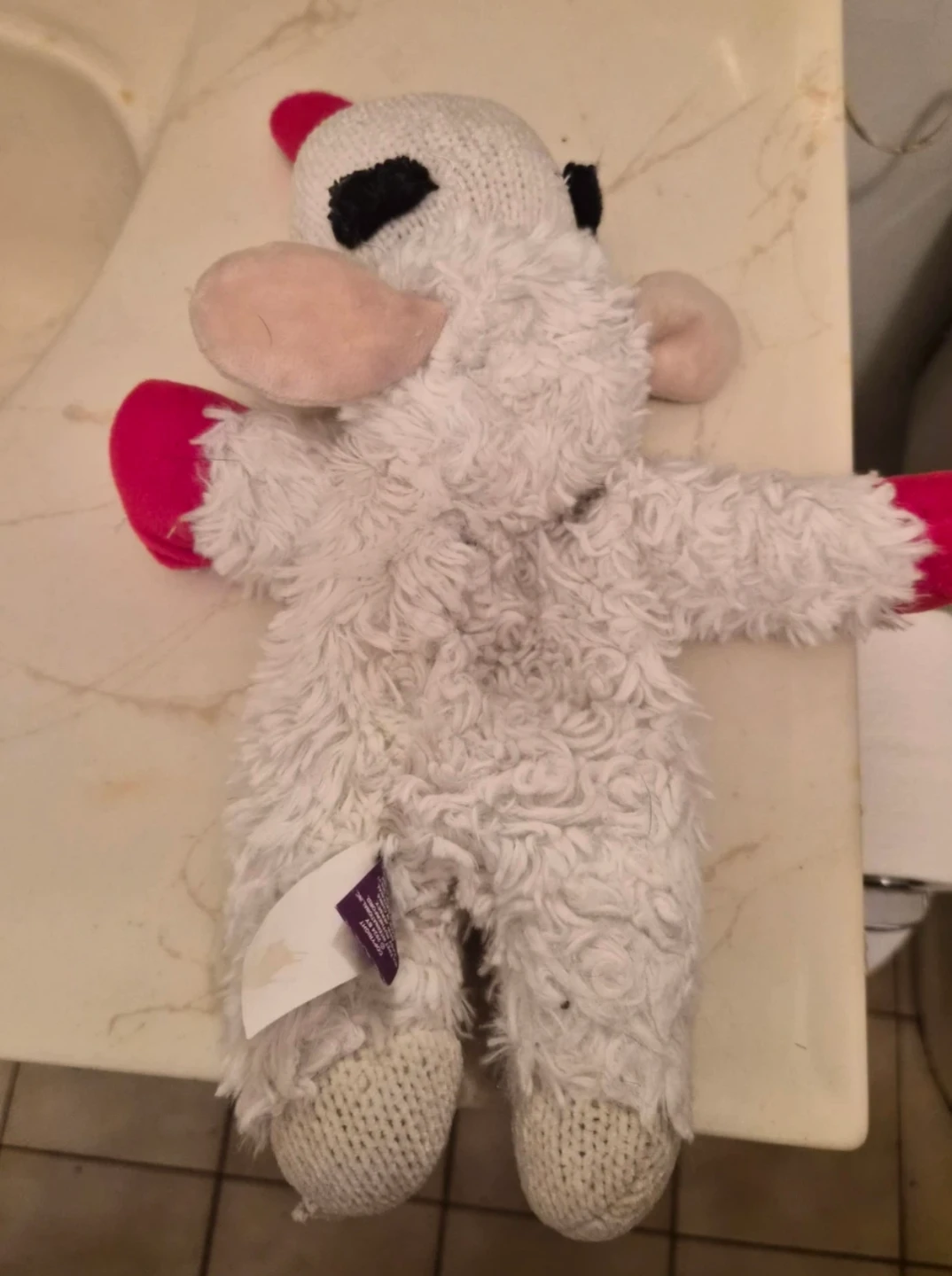 Lamb Chop