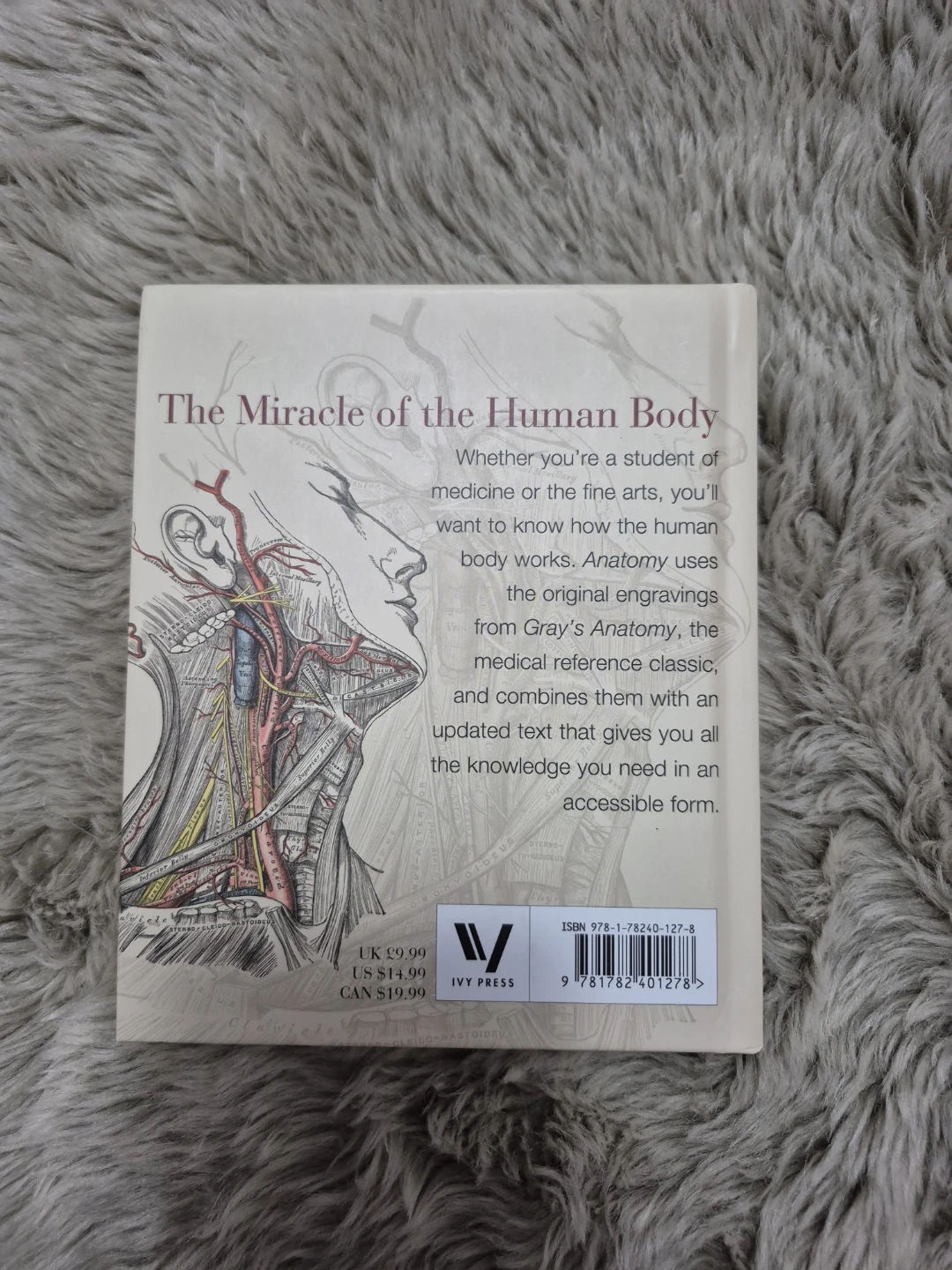 Anatomy: Gray's Anatomy Complete Guide for Artists & Students - photo 3