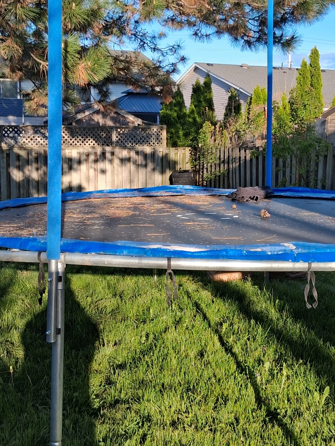 Trampoline Frame and Mat - photo 3