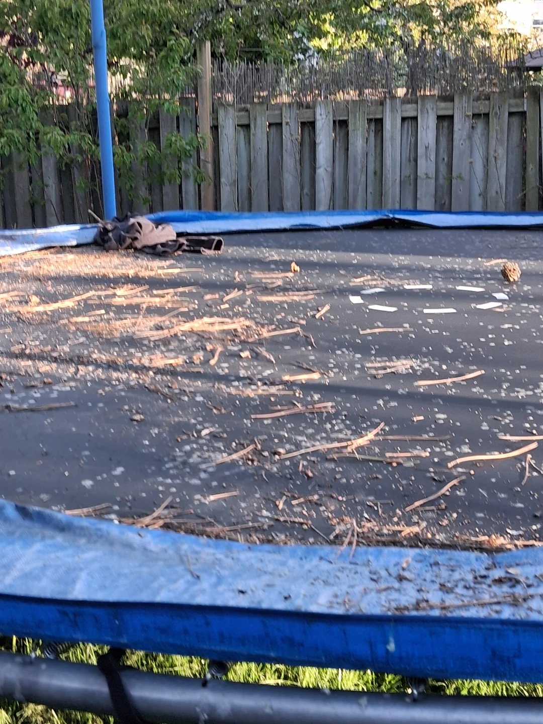 Trampoline Frame and Mat - photo 4