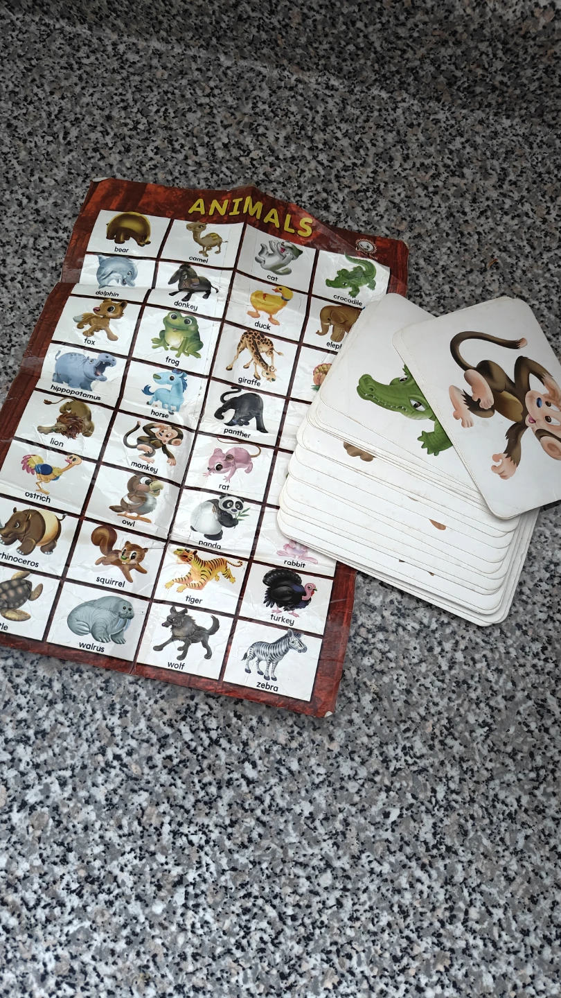 Educational Flash Cards Sets - photo 4
