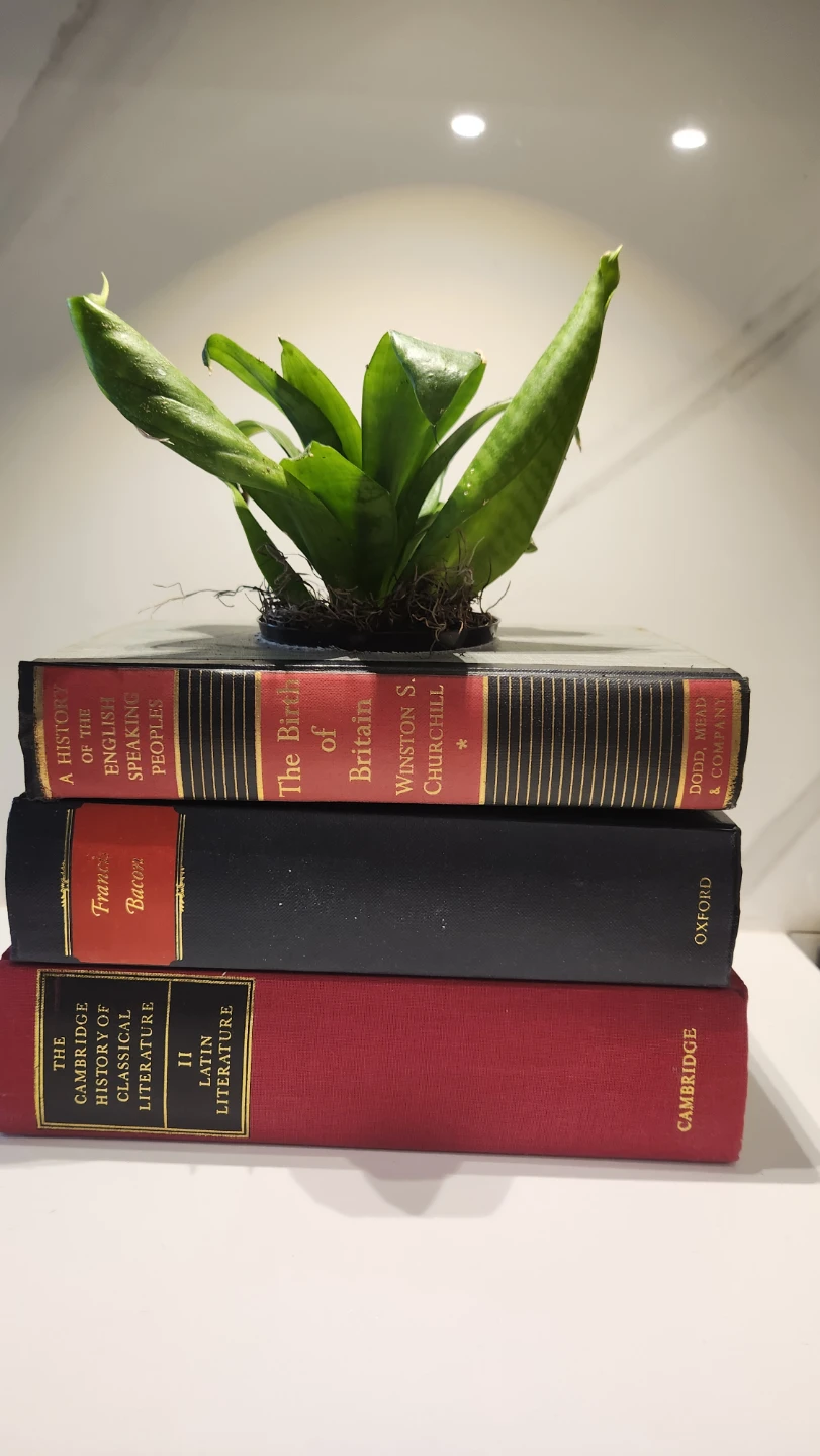 Upcycled red and black vintage books planter with plant