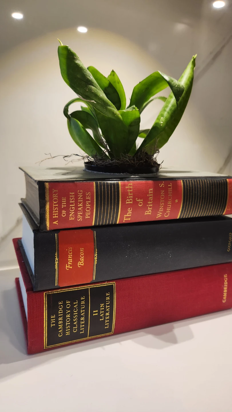 Upcycled red and black vintage books planter with plant - photo 4