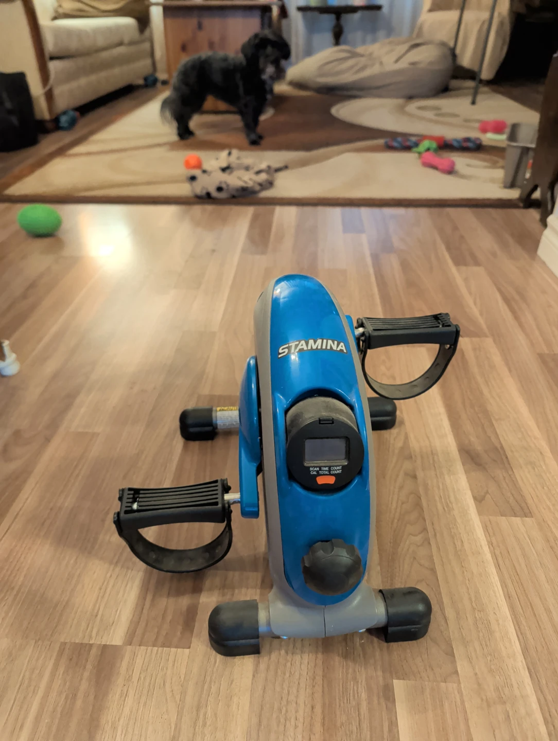 Stamina Mini Exercise Bike