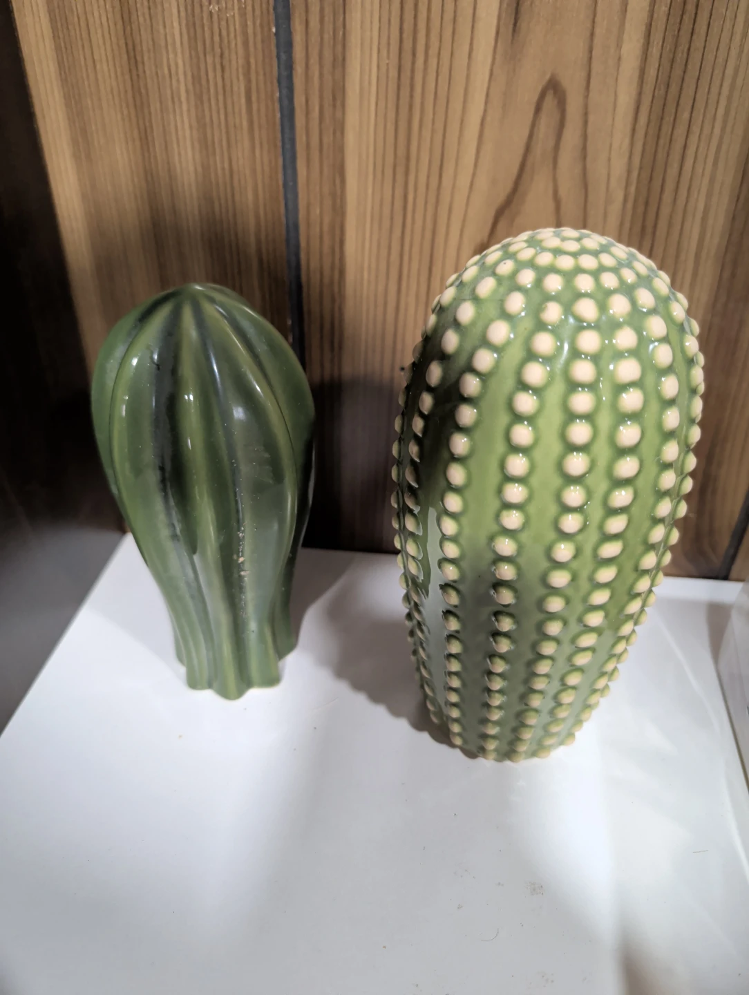 Ceramic Cactus Figurines (Set of 2)