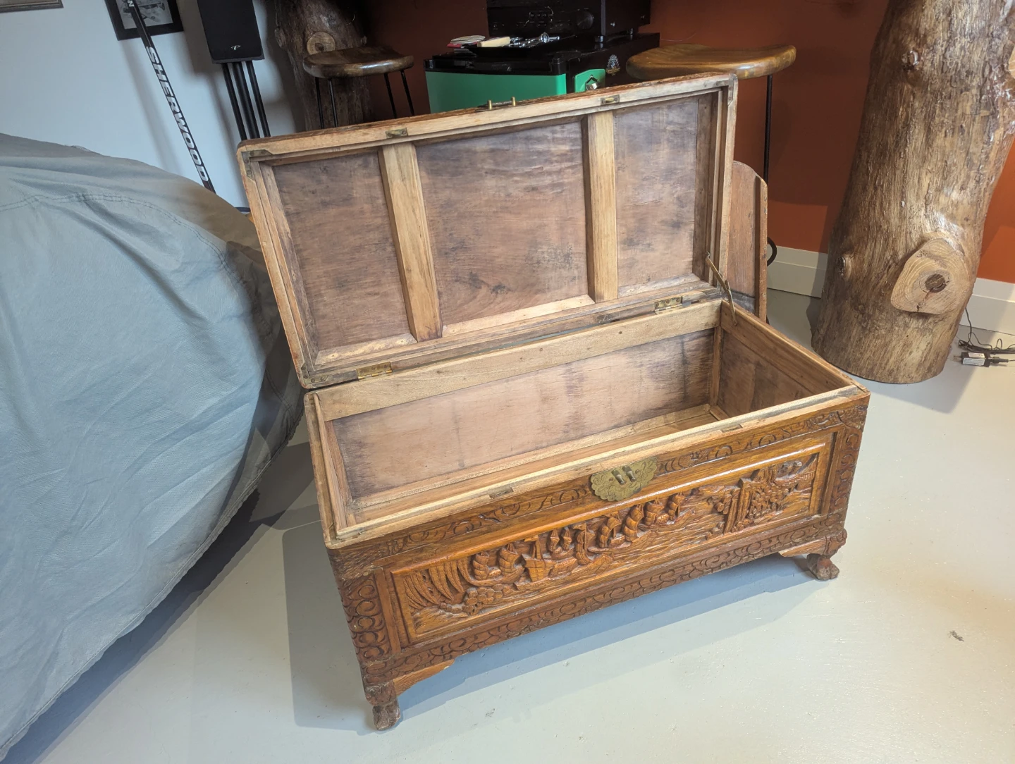 Chinese Camphor Wood Trunk - photo 3
