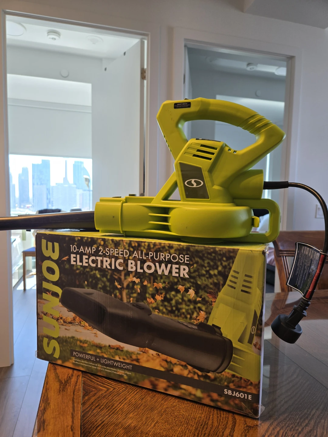 Sun Joe 10-Amp 2-Speed Electric Blower SBJ601E