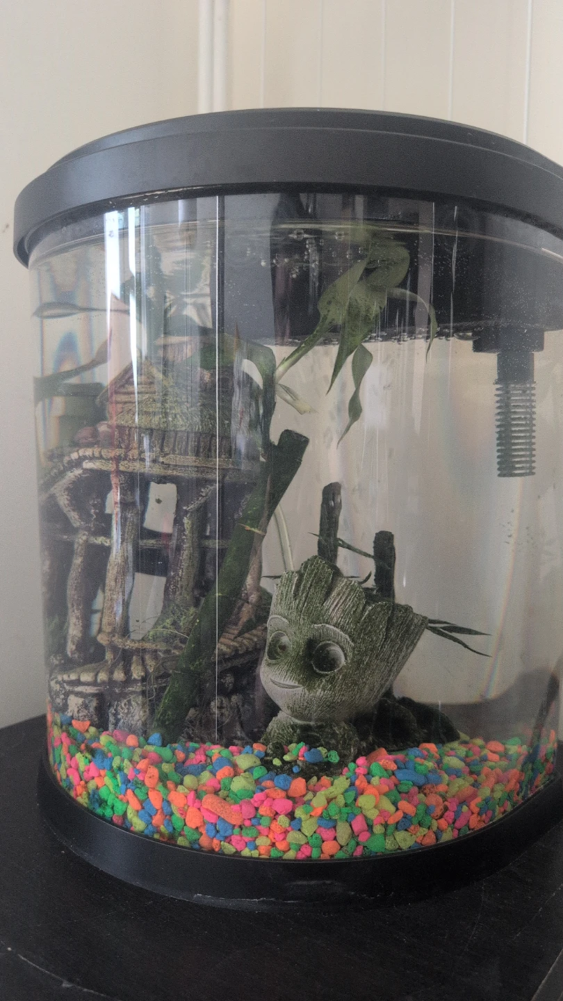 Small Fish Tank Aquarium