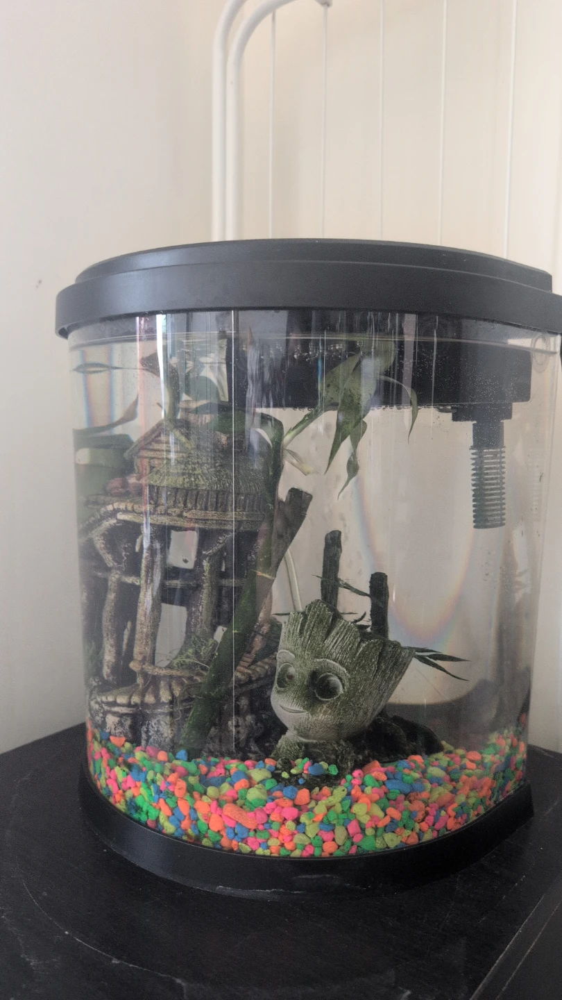 Small Fish Tank Aquarium - photo 2