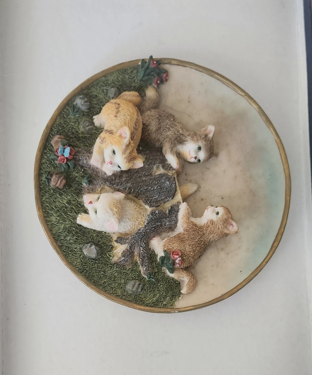 Cat plate