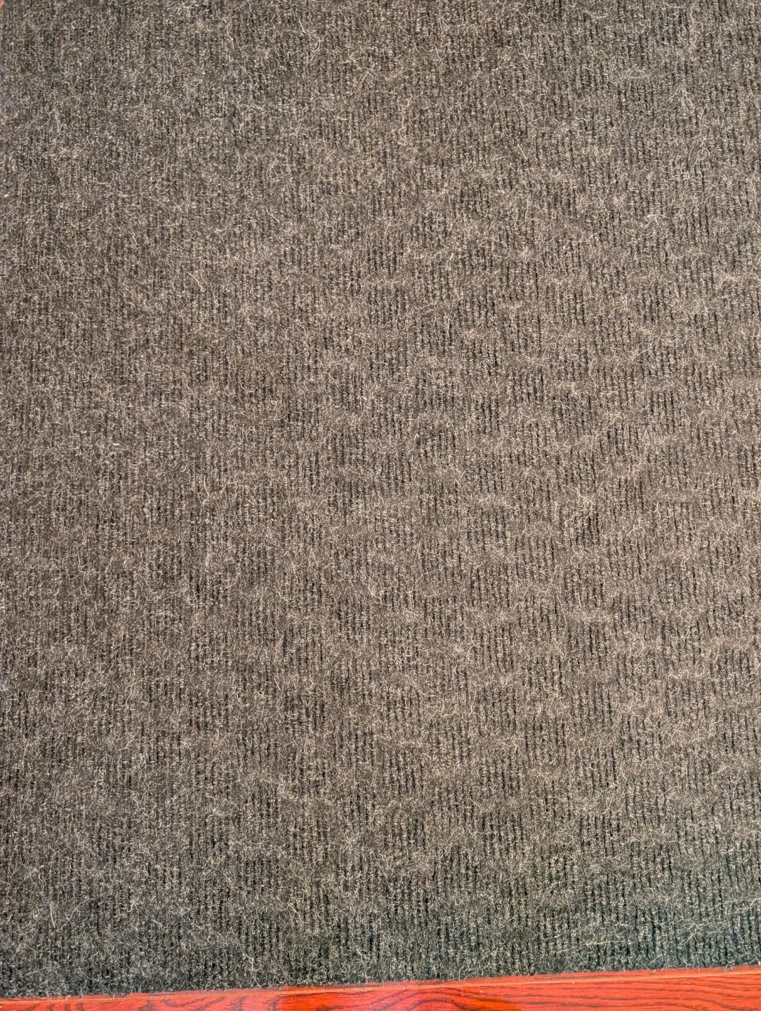 Black Carpet Mat - photo 4