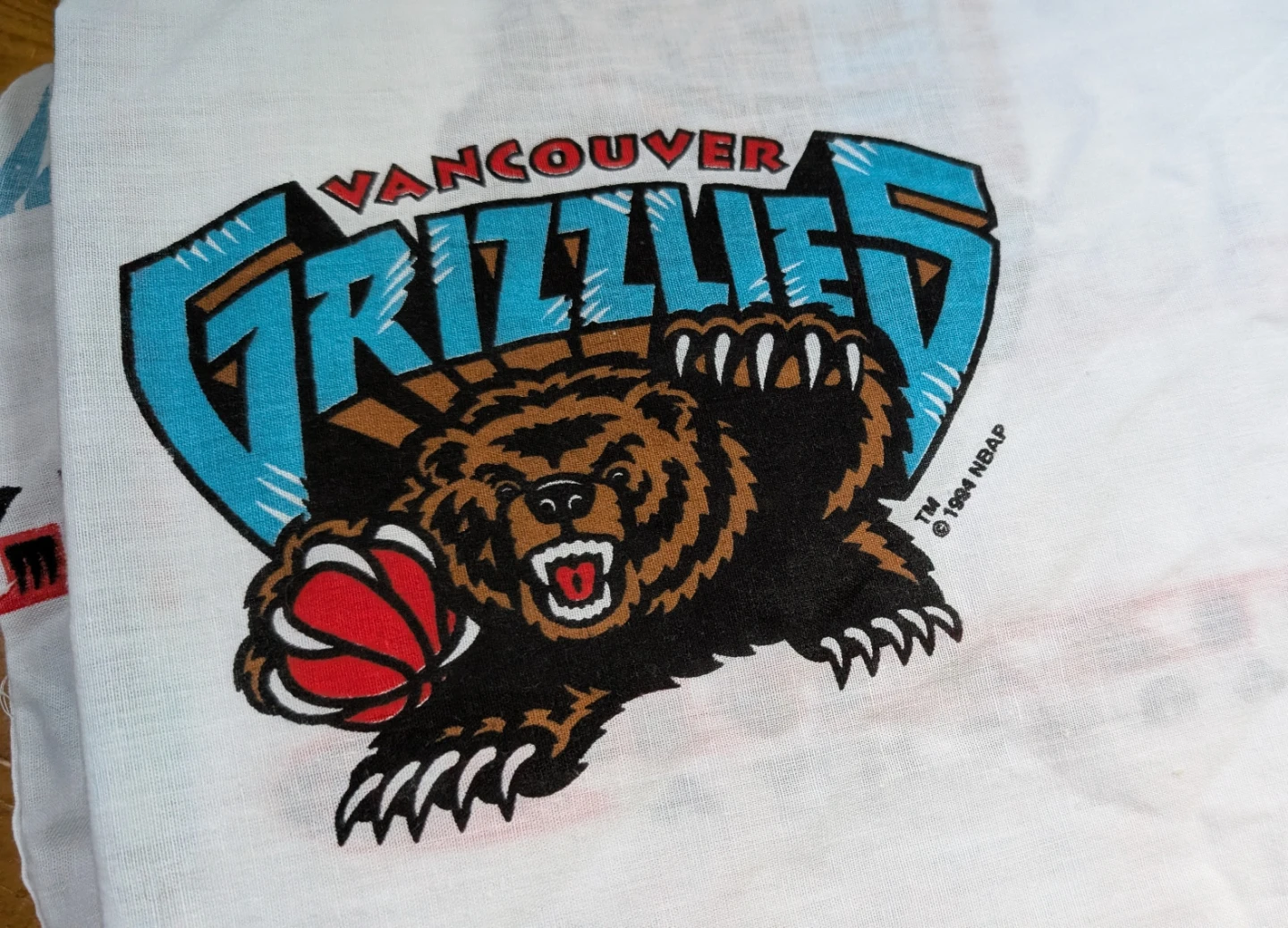 1994 Vancouver Grizzlies Twin Bed Set - photo 4