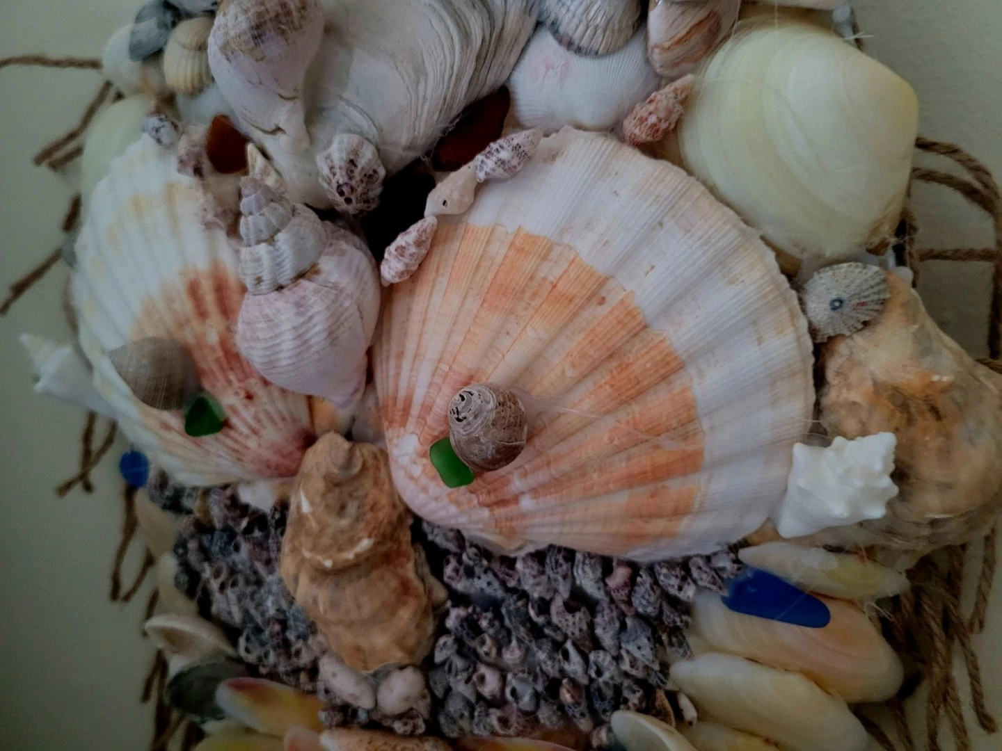 Seashell Wall Art - photo 3
