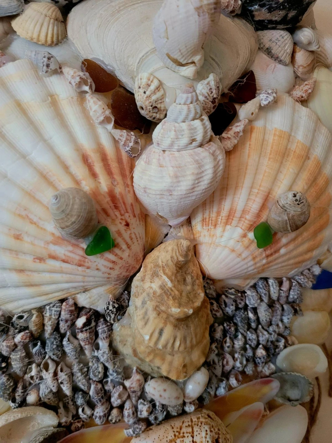Seashell Wall Art - photo 4