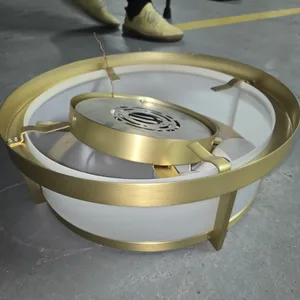 Neptronic Flush Mount Ceiling Light Fixture Brass Finish