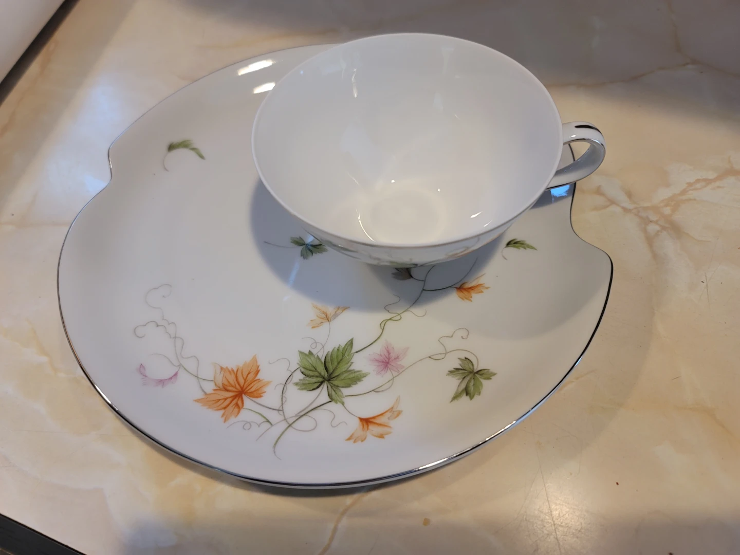 Summit Fine China Teacup and Saucer Plate Set