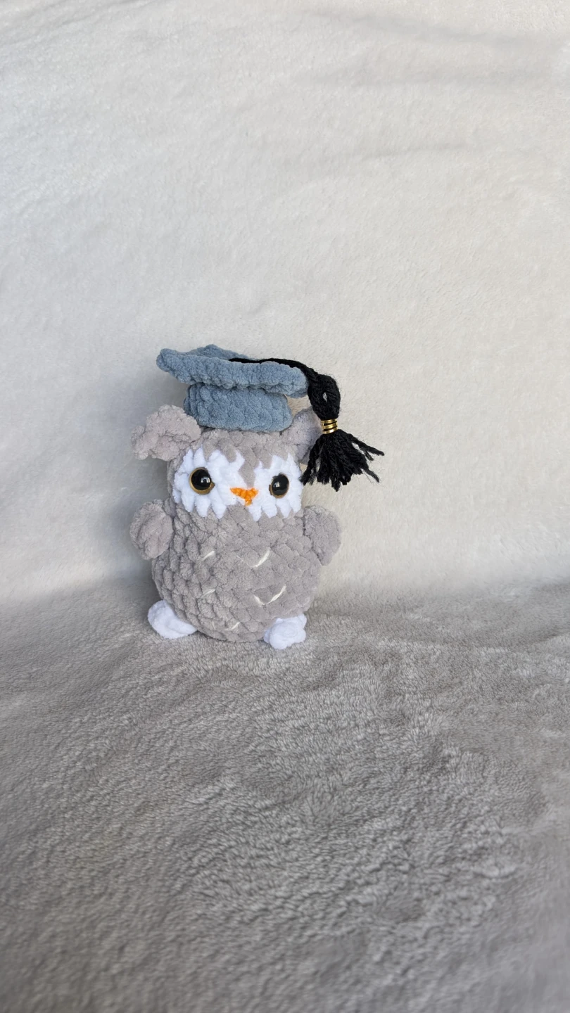 Handmade Crochet Owl Plush with Graduation Cap
