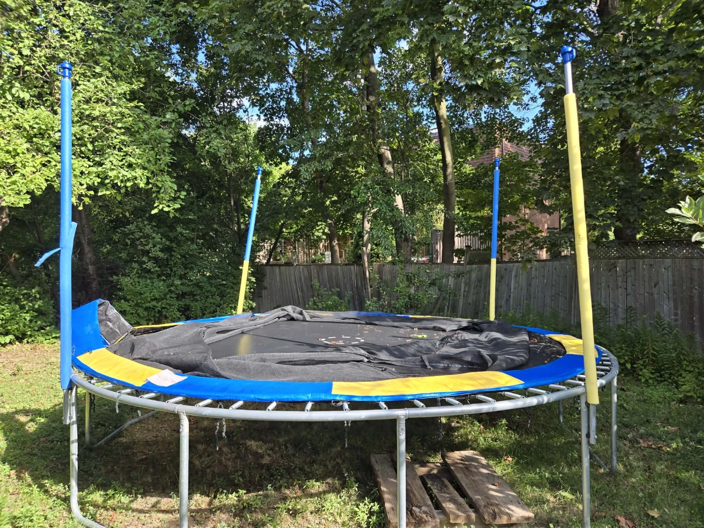Trampoline - photo 3