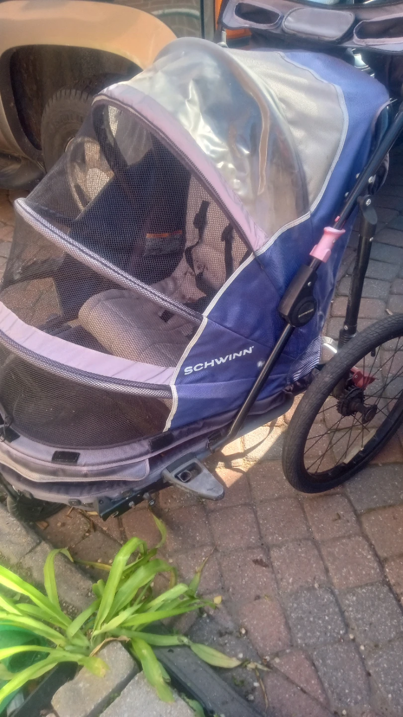 Schwinn Jogging Stroller