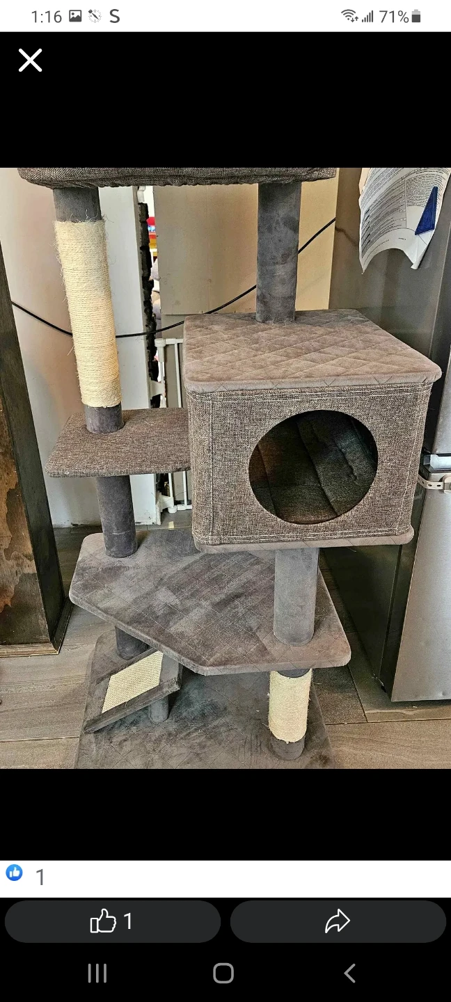 Grey Cat Tree Condo with Scratching Posts