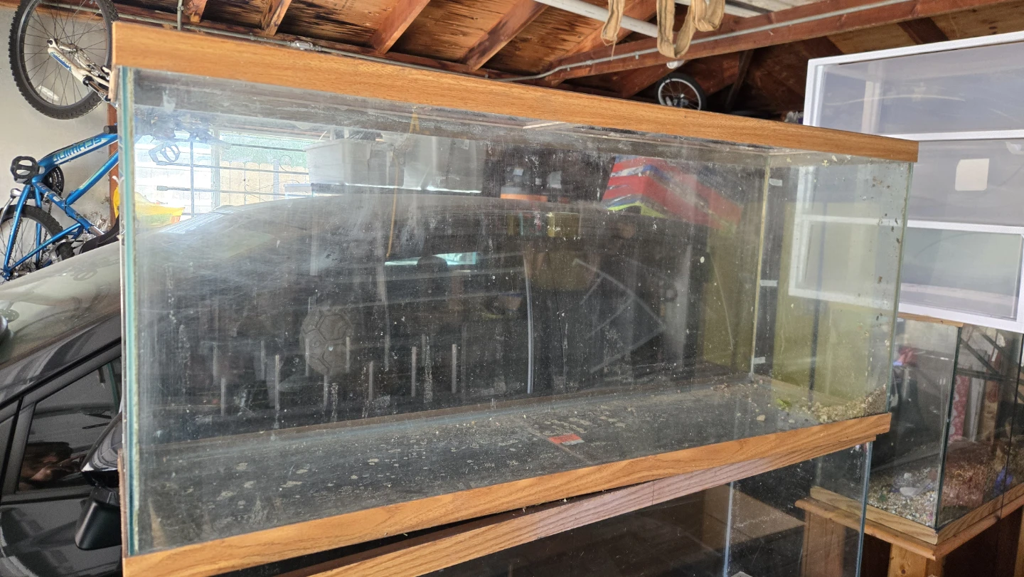 55 gallon tank with stand