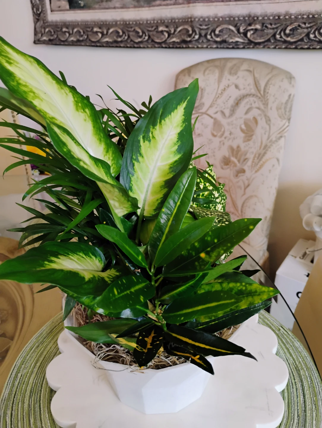 Dish Garden Plant Assortment - photo 2