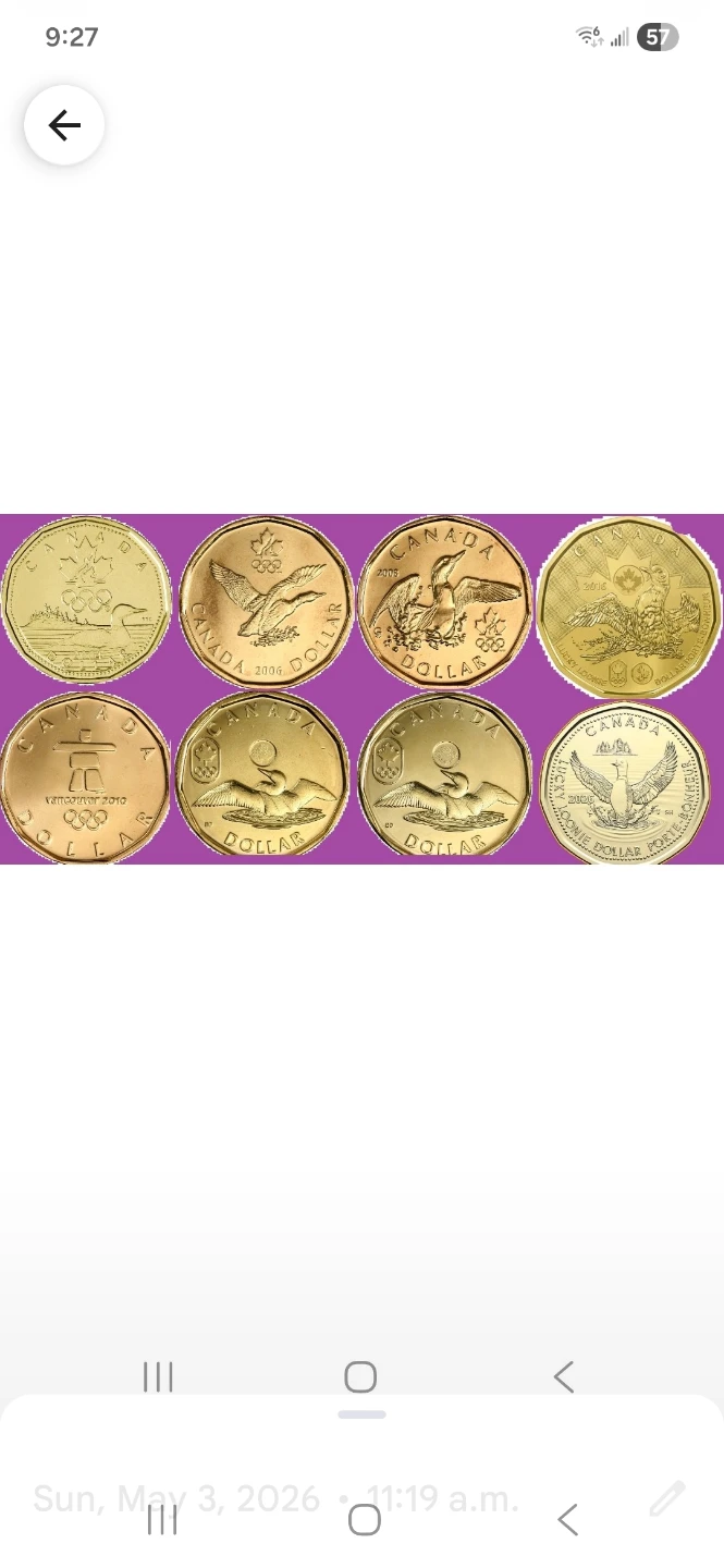 Set of 2004 - 2026 Olympic lucky Loonies.