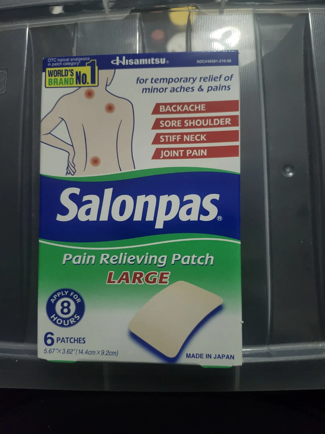 Salonpas Pain Relieving Patch - Large (6 Patches)