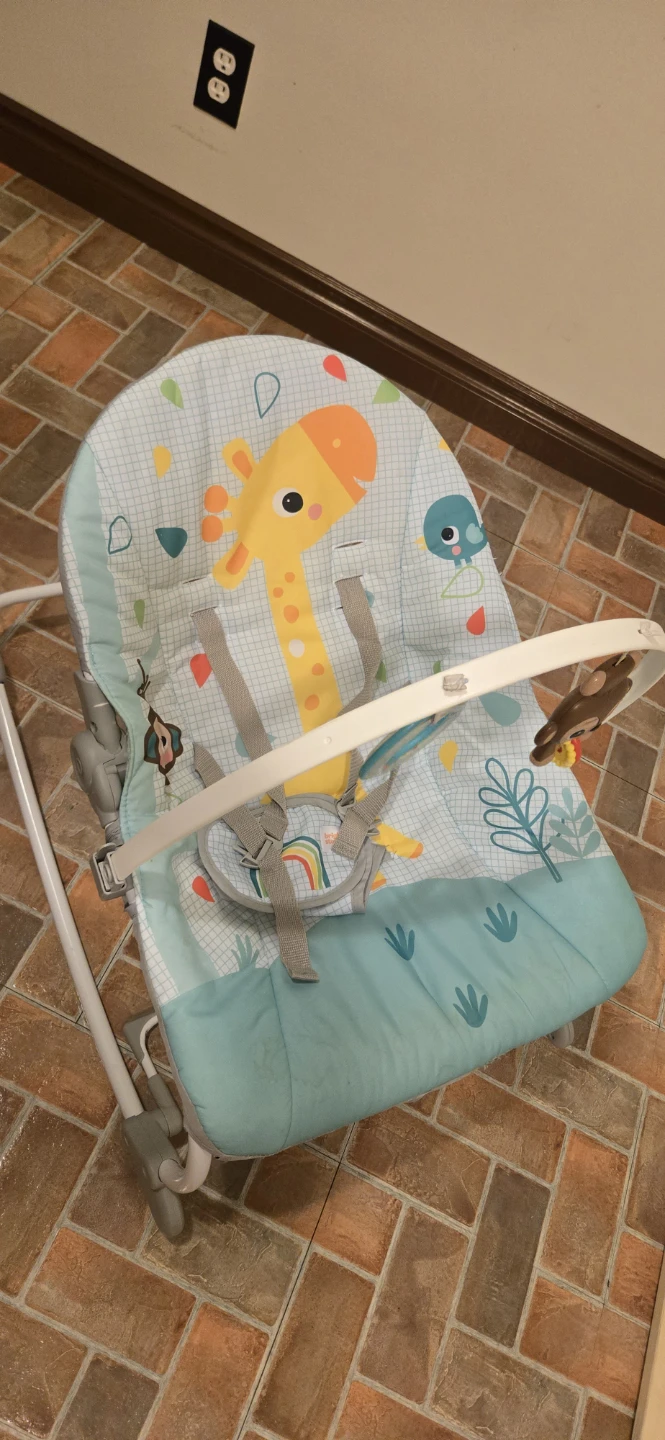 Fisher-Price Giraffe Baby Bouncer $25