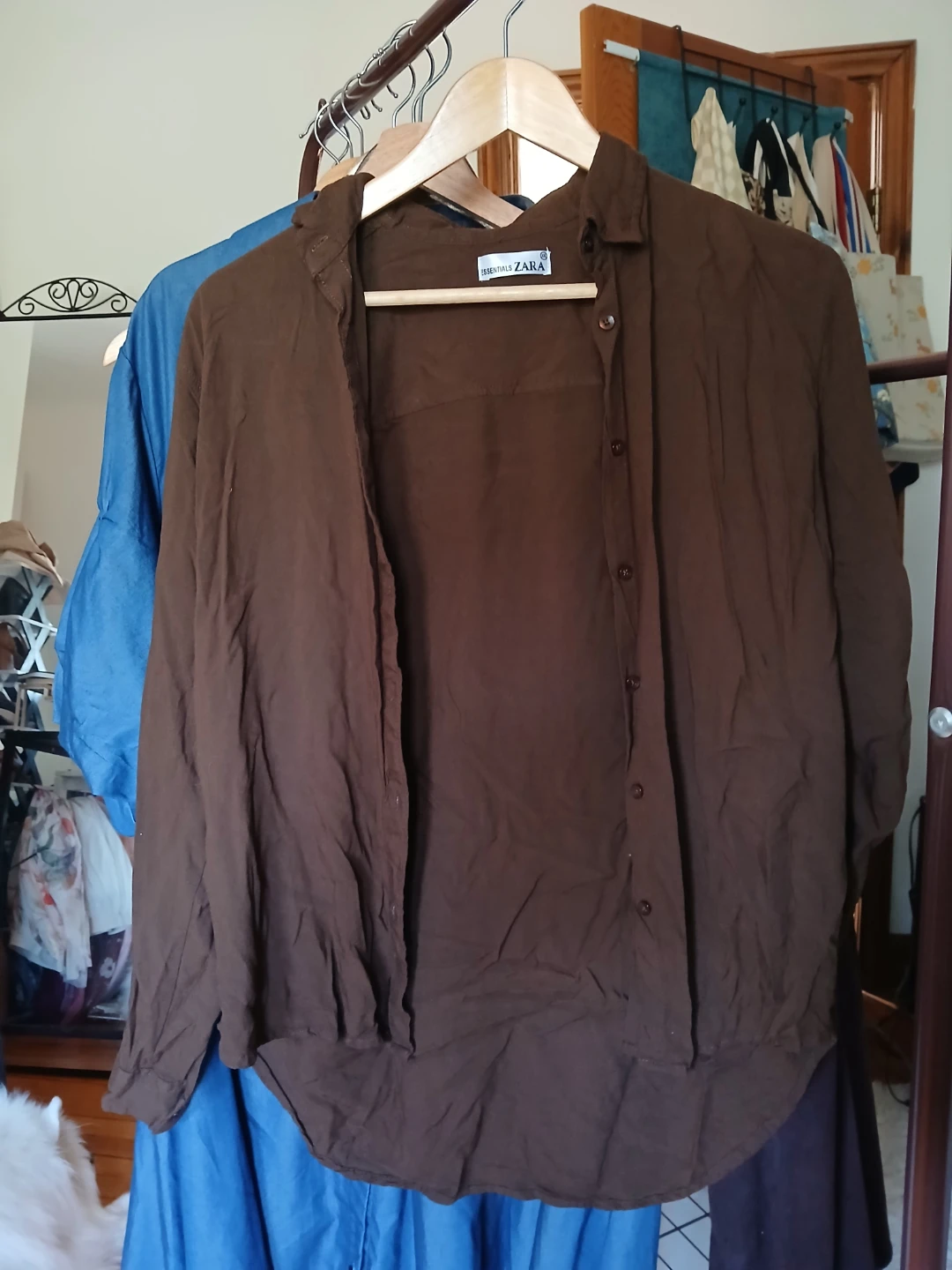 Zara Essentials Brown Button-Up Shirt