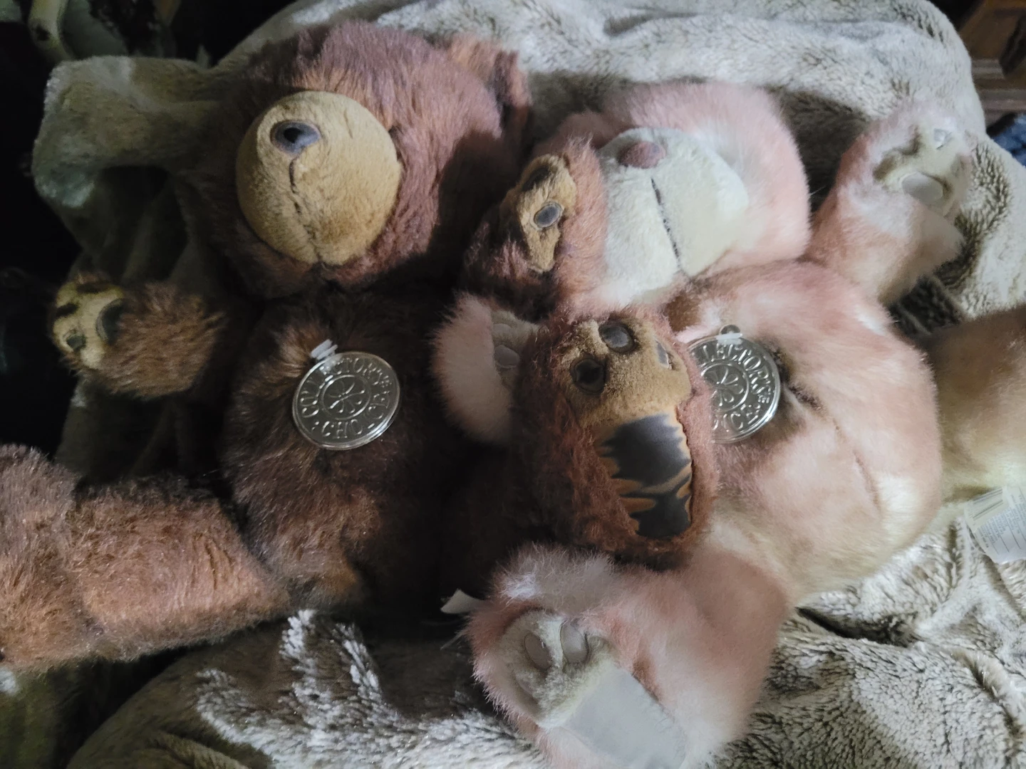 Collector's Choice Plush Teddy Bear - photo 2