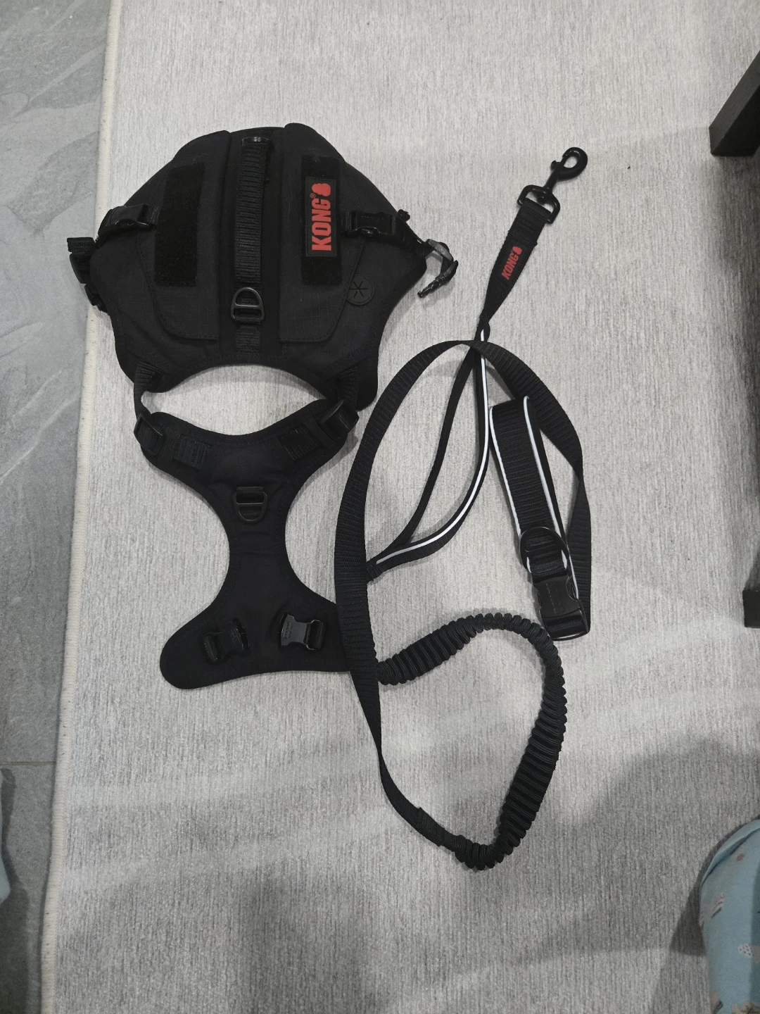 Kong Dog Harness and Leash Set