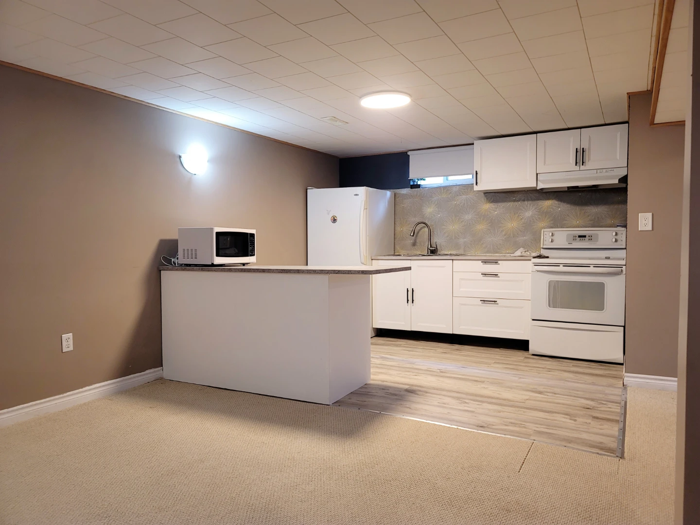 Finished Basement Suite with Kitchenette
