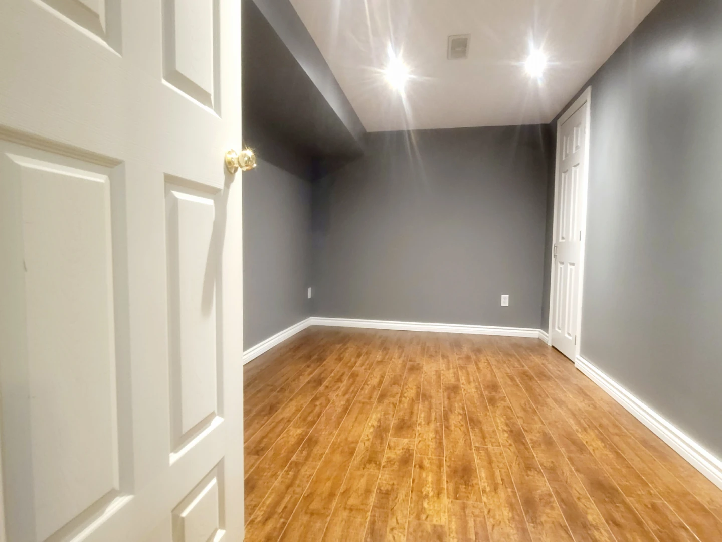 Finished Basement Suite with Kitchenette - photo 3