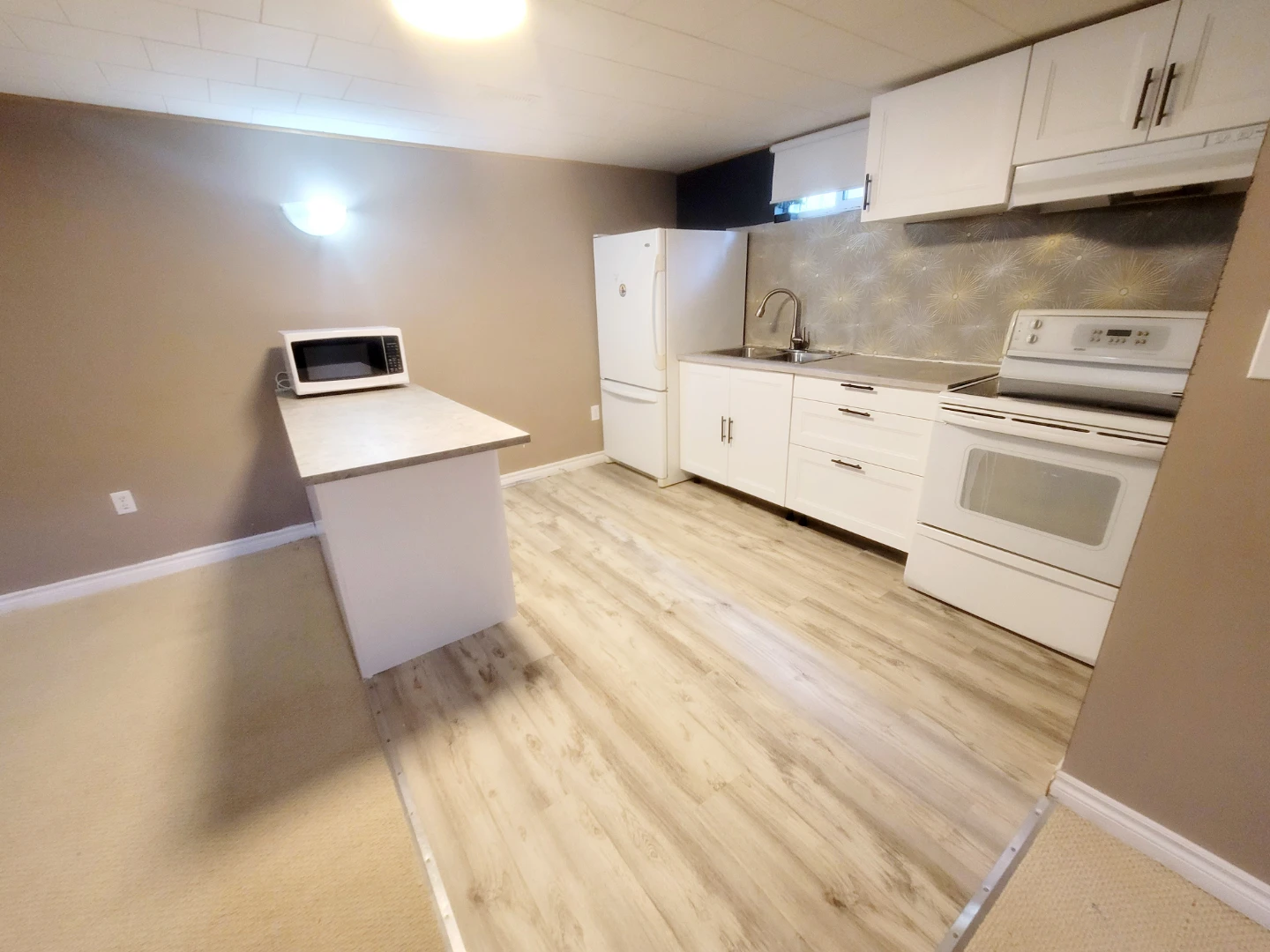 Finished Basement Suite with Kitchenette - photo 5