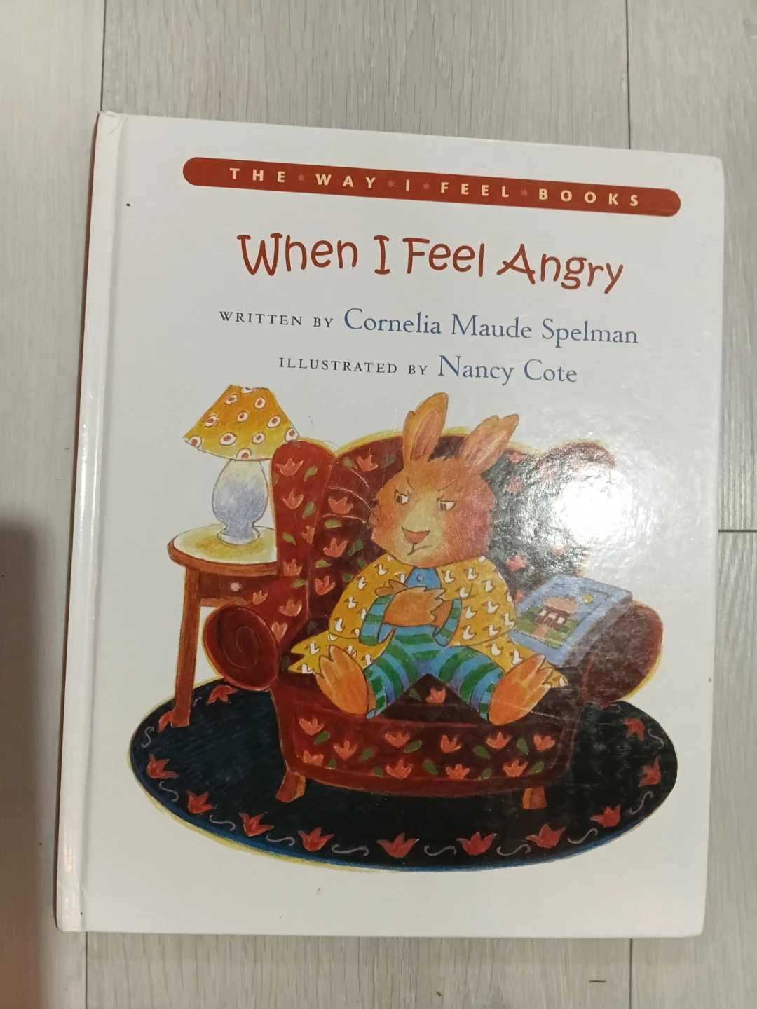 The Way I Feel Kids Emotions Book Set