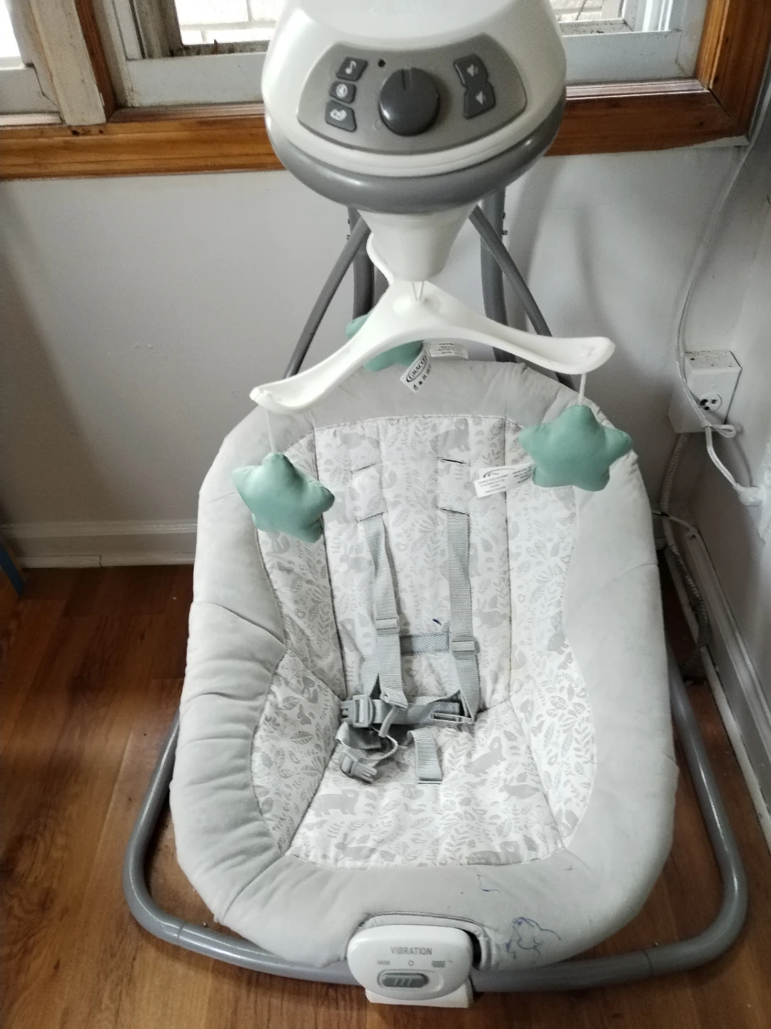 Graco Baby Swing