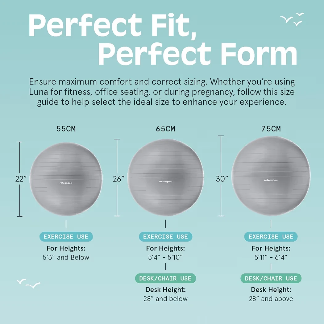 Retrospec Luna Exercise Ball with Base - photo 3