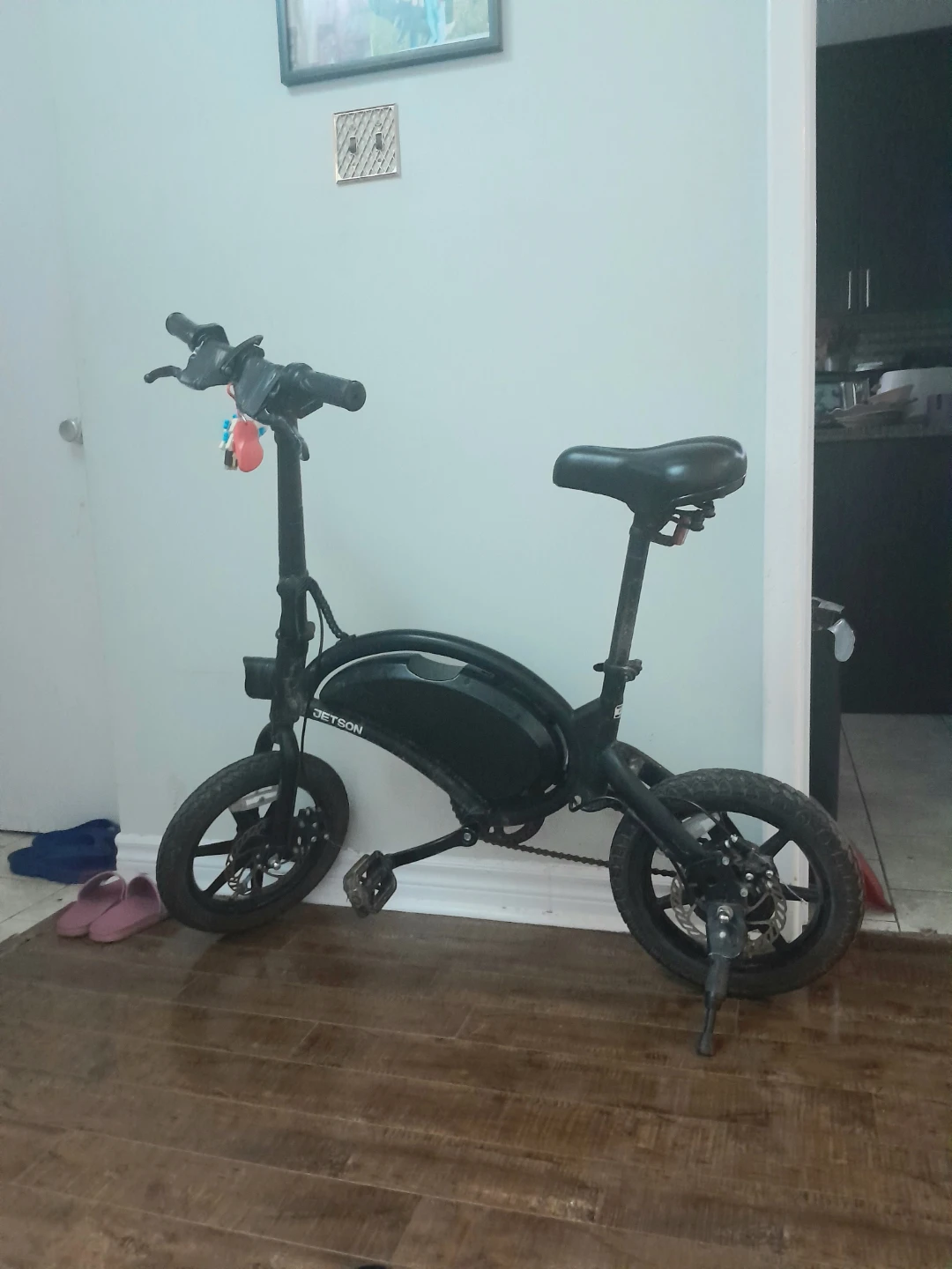 Jetson Electric Bike