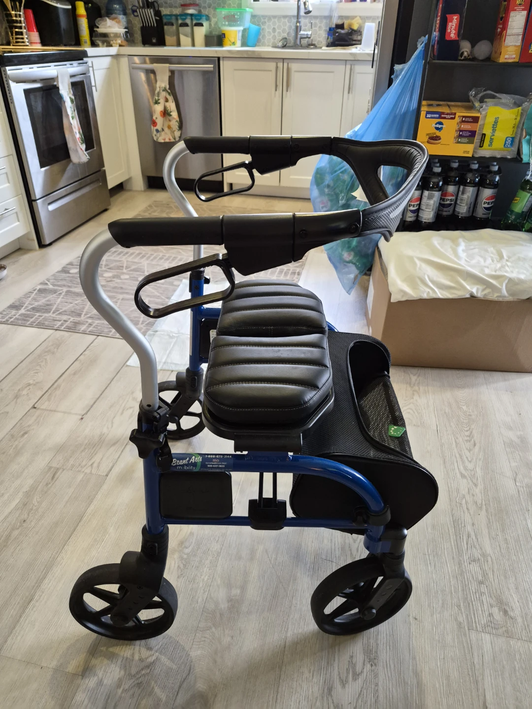 Evolution Walker