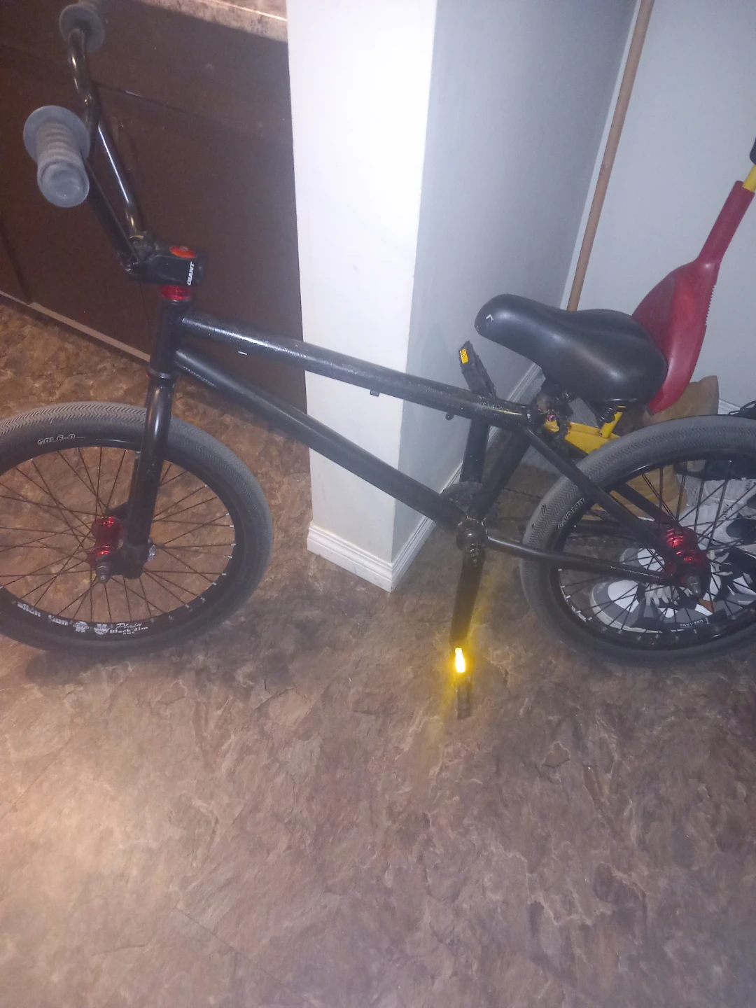 BMX Bike 20 inch