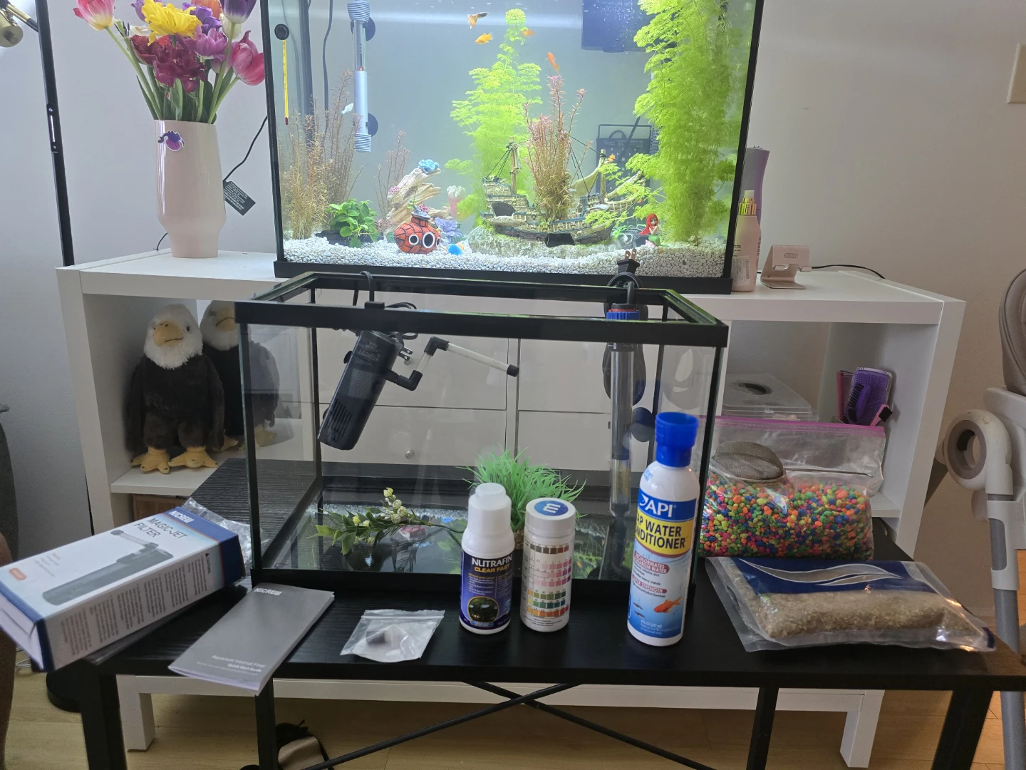 5 Gallon Fish Tank + whole bunddle - Mint condition!