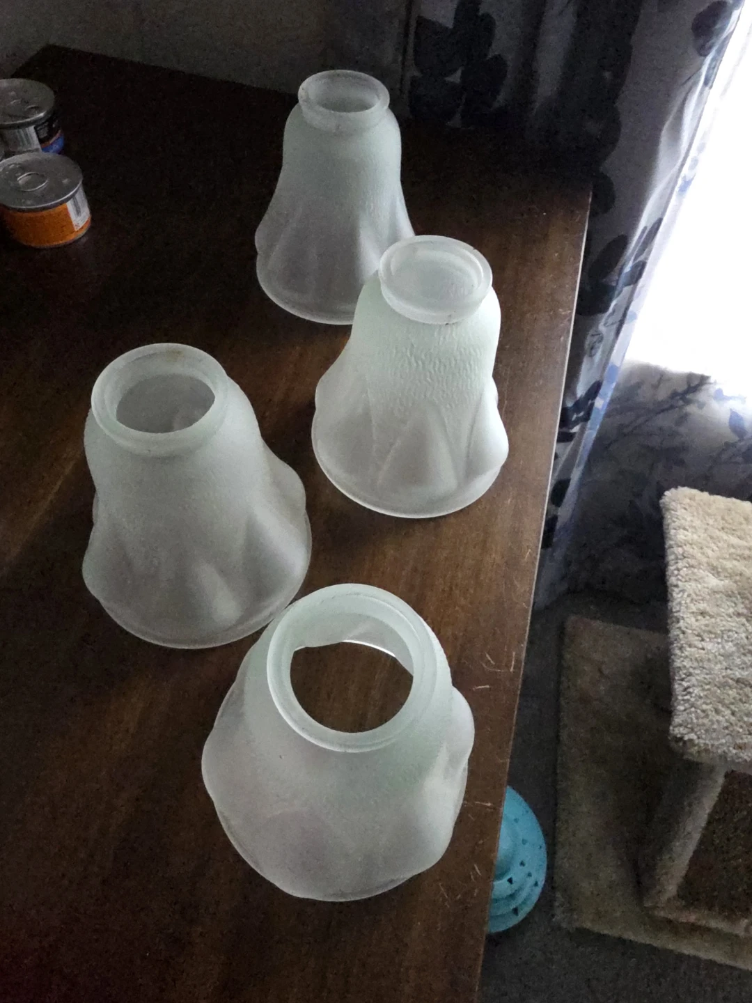 Frosted Glass Lamp Shades (Set of 4)