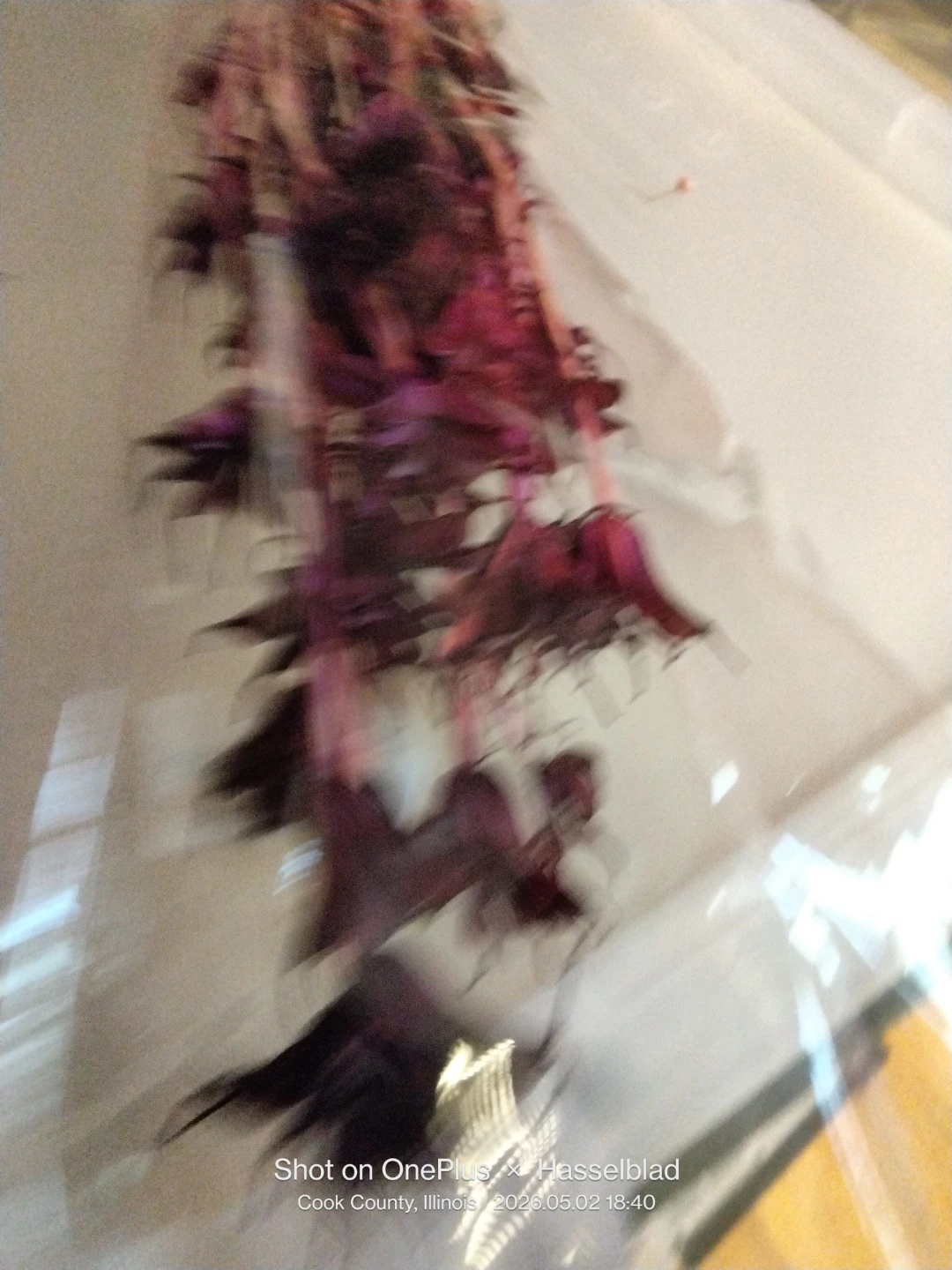 Dried Flowers Bunch - photo 2