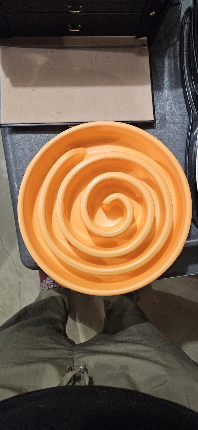 Orange Petmate Slow Feeder Bowl - photo 2