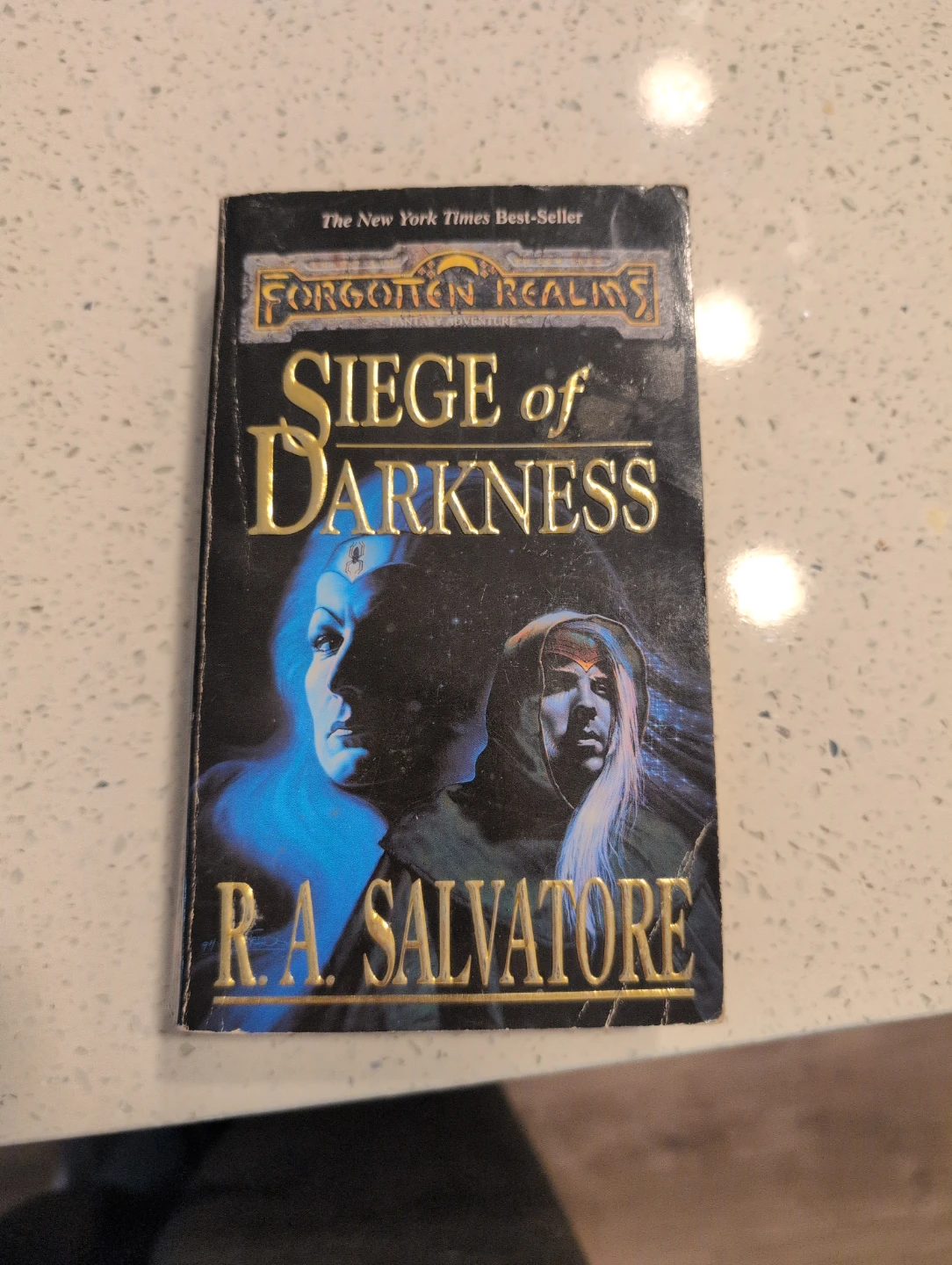 Forgotten Realms: Siege of Darkness by R.A. Salvatore