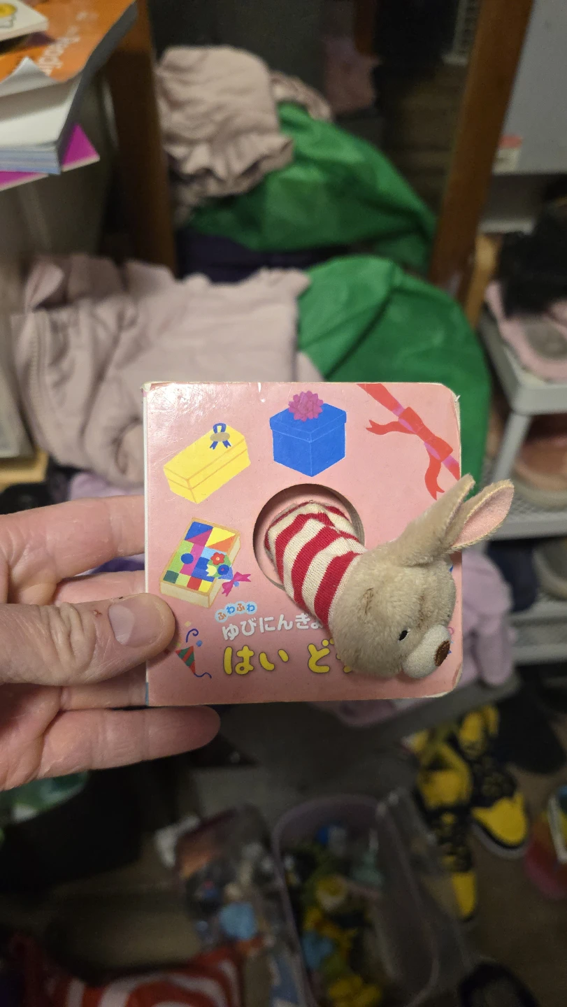 Plush Bunny Finger Puppet Book