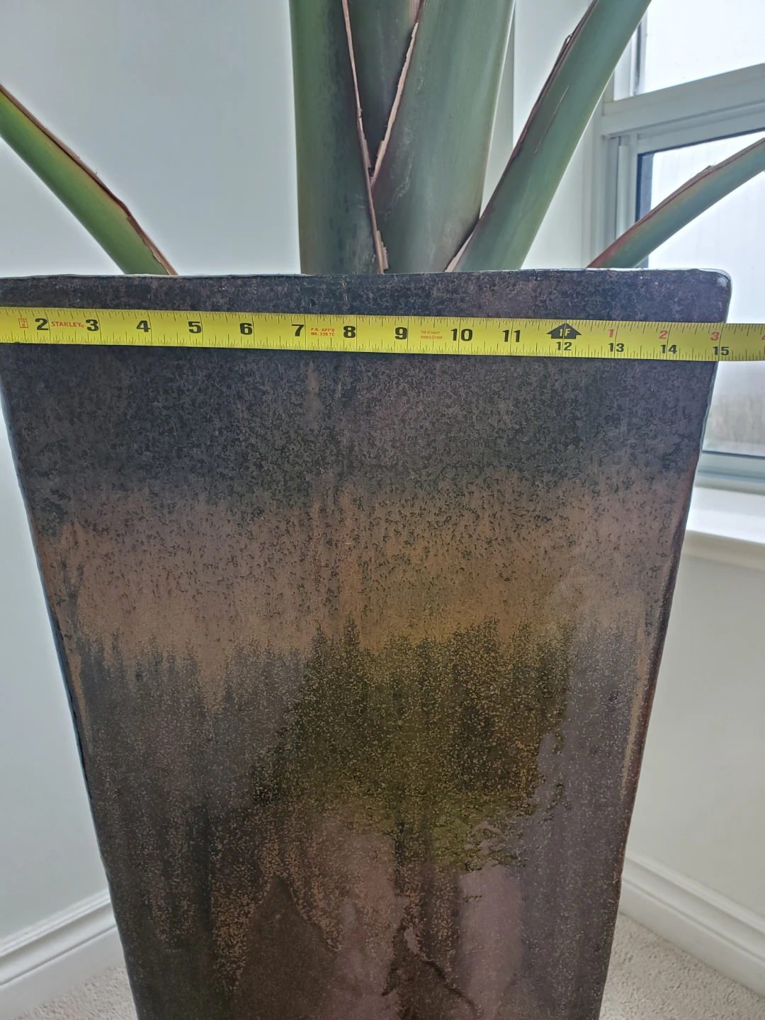 9 ft Tall Bird of Paradise Plant in Ceramic Planter - photo 5